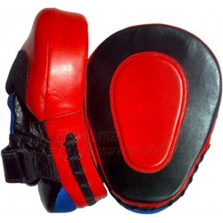 Focus Mitts 